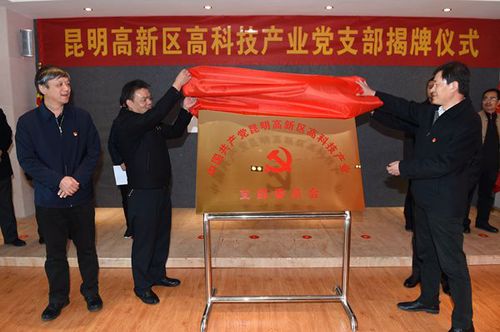 昆明高新区高科技产业党支部成立_副本
