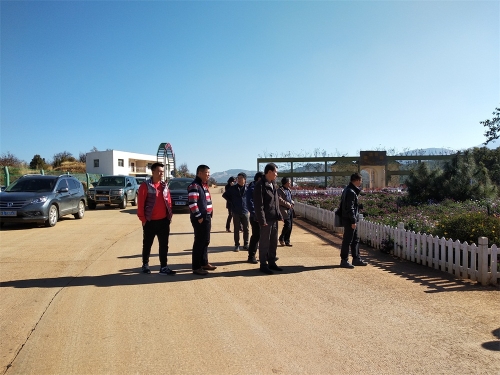 IMG_20190202_104357_1