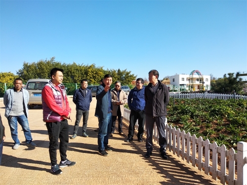 IMG_20190202_104512_1