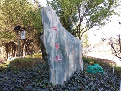 IMG_20190202_111010_1