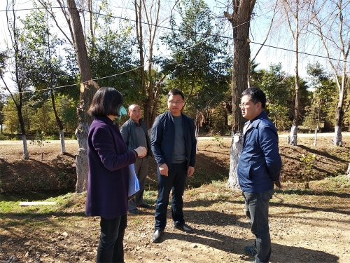 IMG_20190202_114209_1