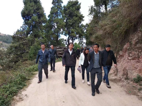 微信图片_20191121095854