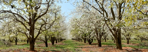 DSC_4758 Panorama_副本_副本